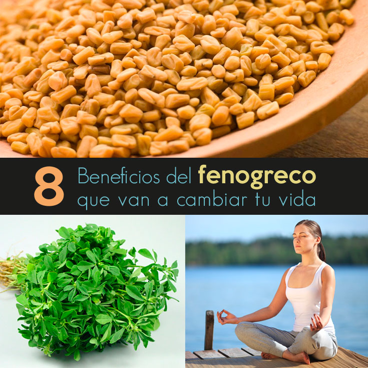 8 Beneficios Del Fenogreco Que Van A Cambiar Tu Vida La Guía De Las Vitaminas 5571