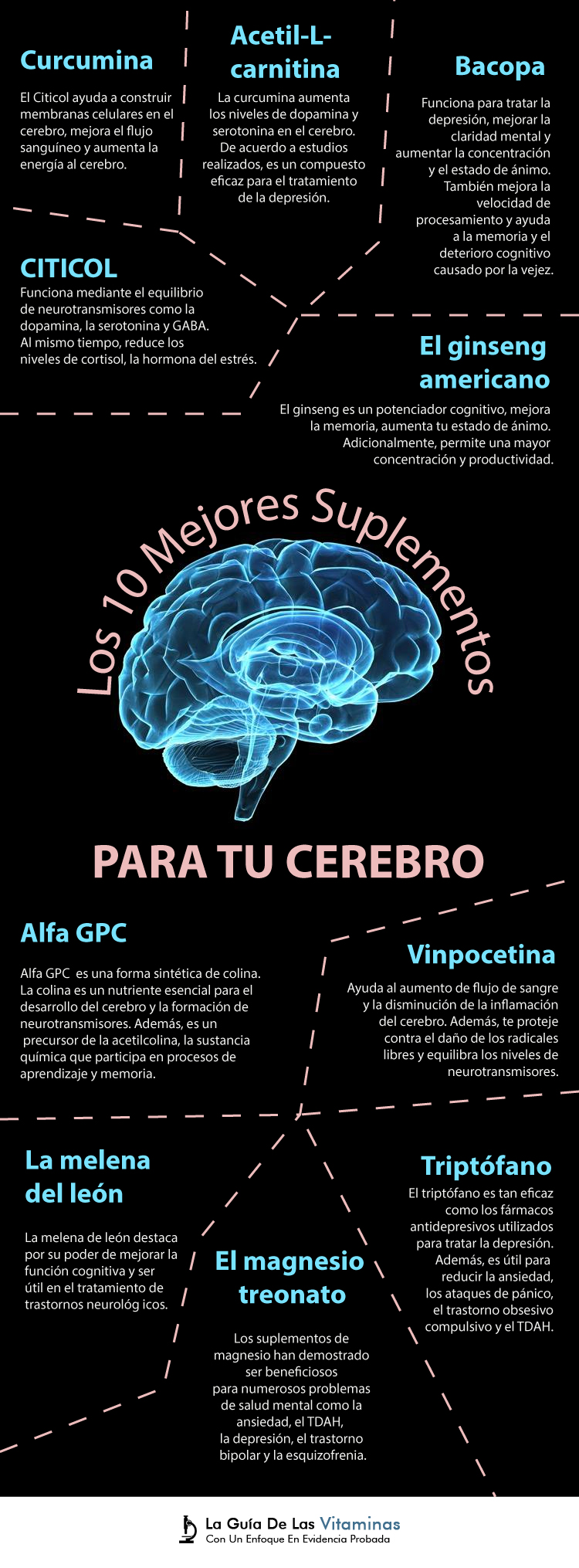 Los 10 Mejores Suplementos Para Tu Cerebro - La Guía De Las Vitaminas