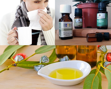 10 usos y beneficios del aceite de eucalipto