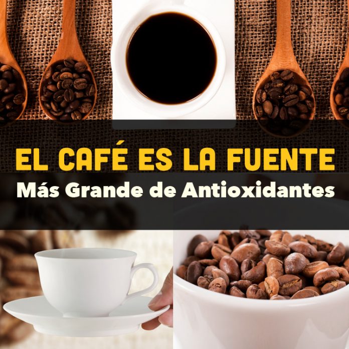 El café es la fuente más grande de antioxidantes La Guía