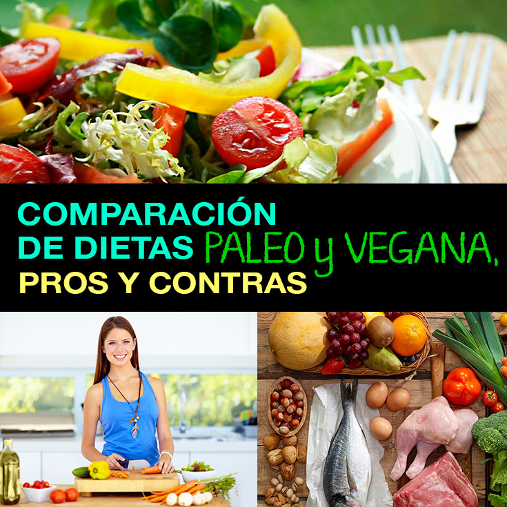 Comparación De Dietas Paleo Y Vegana Pros Y Contras La Guía De Las Vitaminas 4403