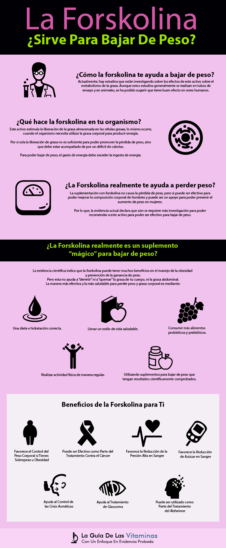 ¿La forskolina sirve para bajar de peso? La Guía de las Vitaminas