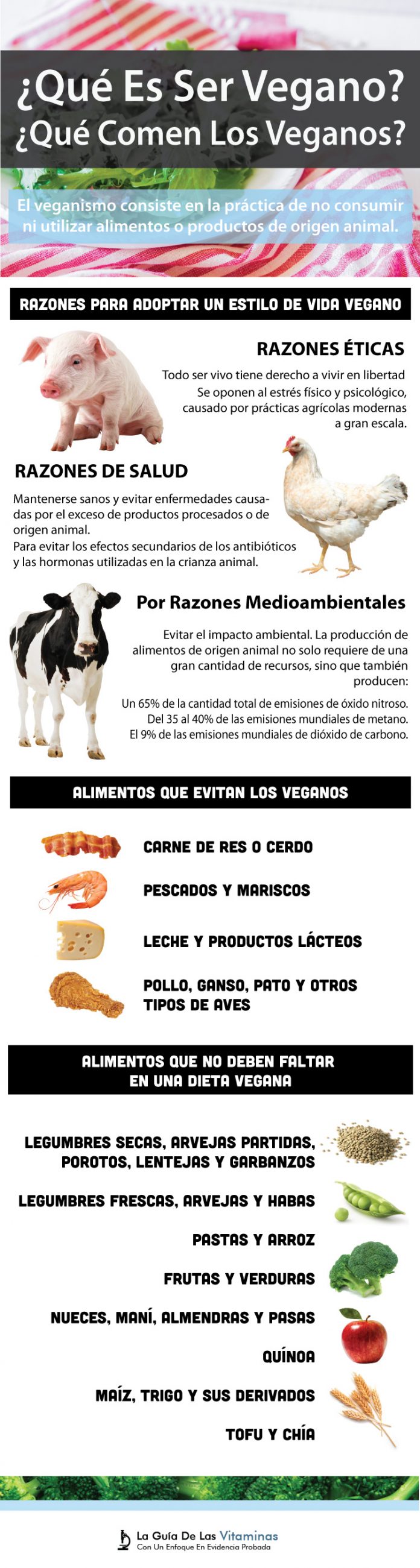 ¿qué Es Vegano Y Qué Comen Los Veganos La Guía De Las Vitaminasemk 3340