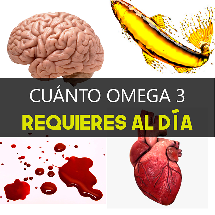  Cu nto Omega 3 Ocupas Tomar Al D a La Gu a De Las Vitaminas