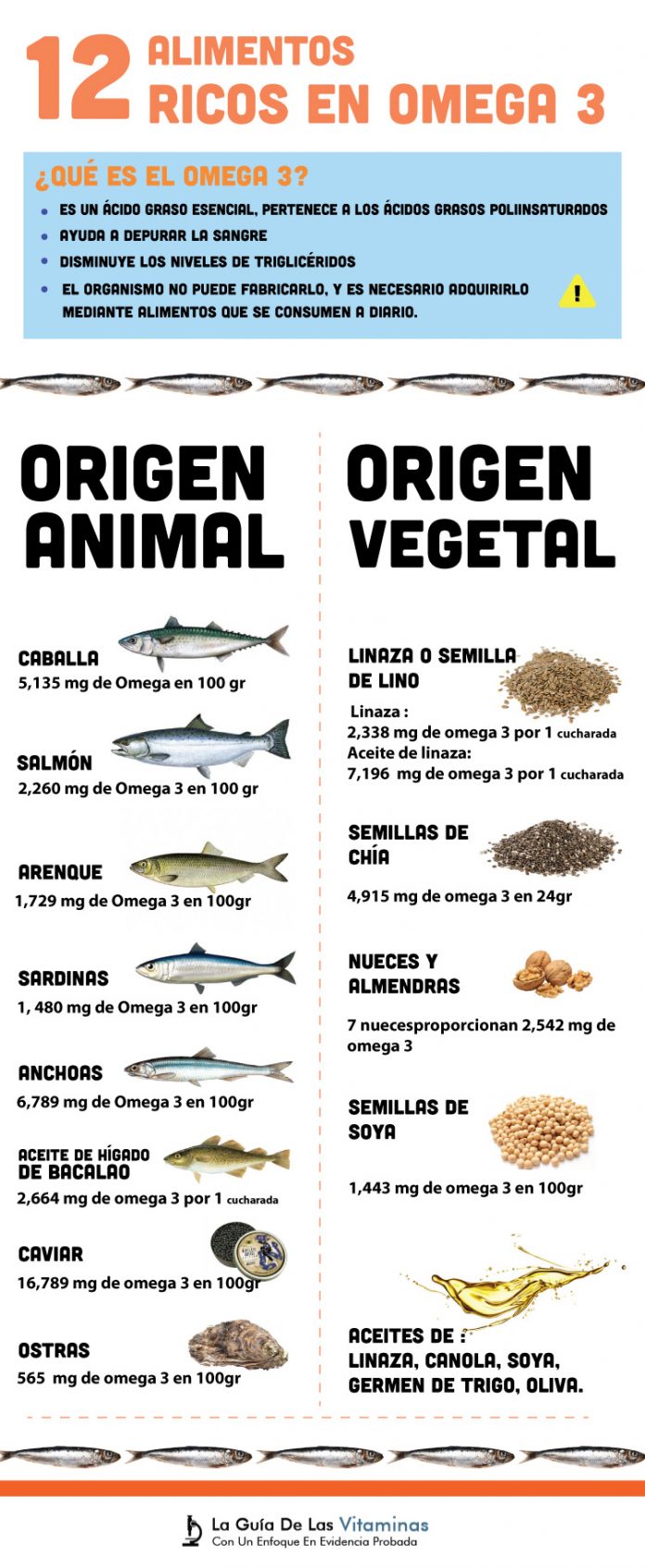 Los 12 alimentos más ricos en omega 3 La Guía de las Vitaminas