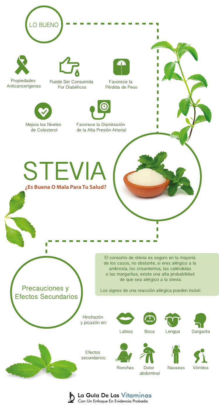 Stevia Efectos Secundarios, Beneficios, ¿Es Buena O Mala?