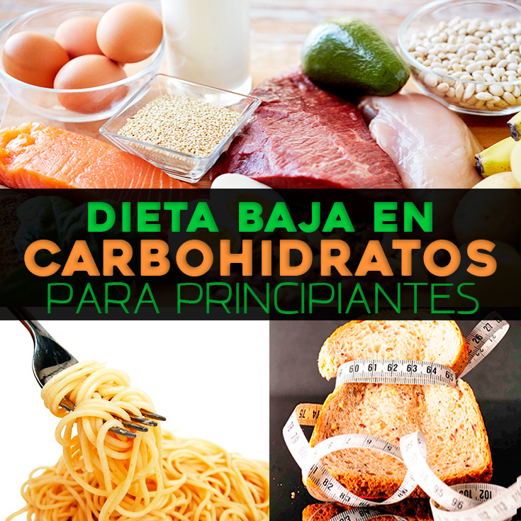 Dieta Baja En Carbohidratos Guía Para Principiantes La Guía De Las Vitaminas 3754