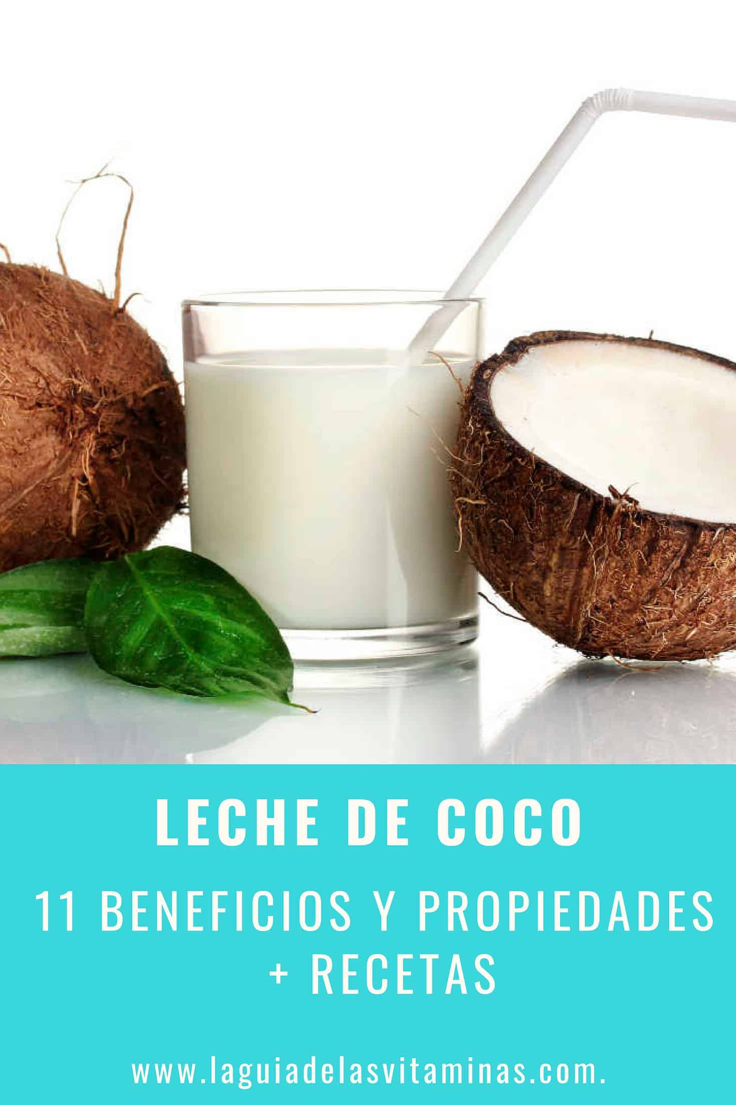 Leche de coco_ 11 beneficios y propiedades + recetas (1) La Guía de