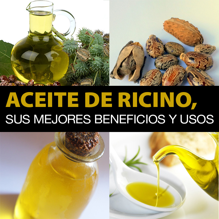 Aceite De Ricino 12 Beneficios Y Usos Para Mejorar Tu Salud La Guía De Las Vitaminas
