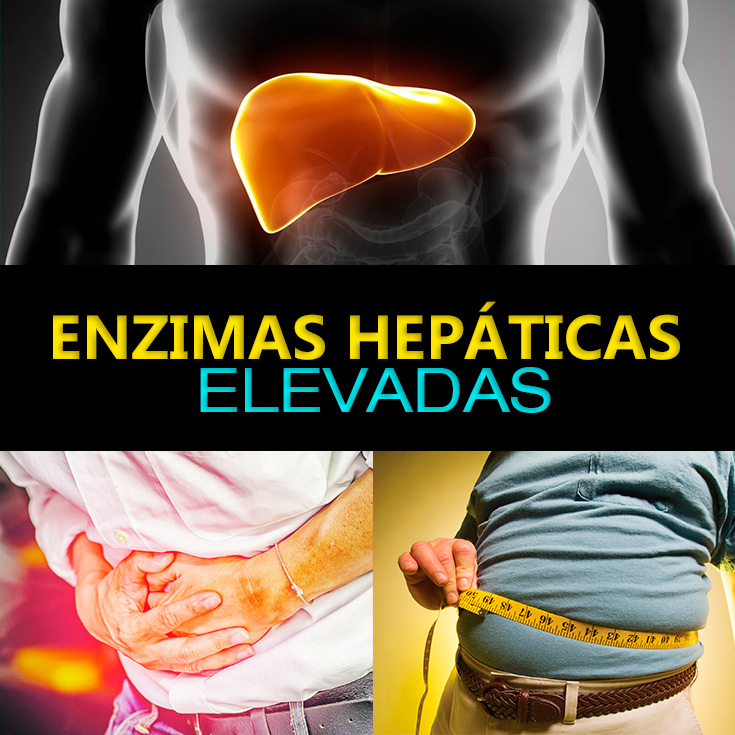 Enzimas Hepaticas Altas My XXX Hot Girl