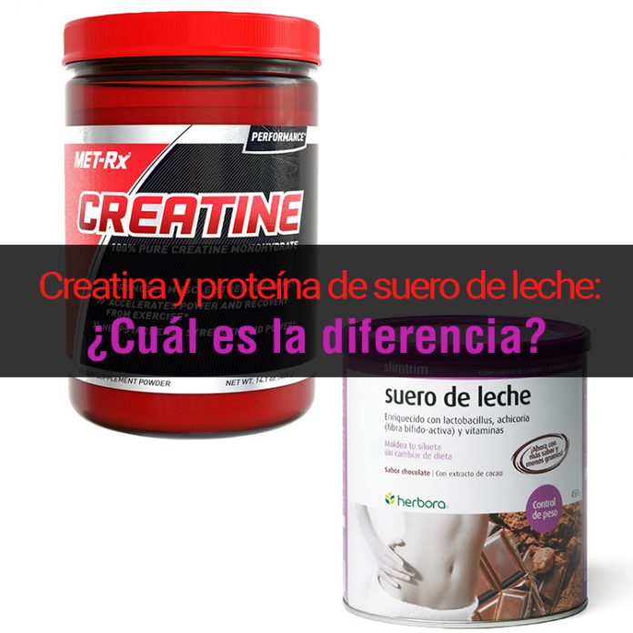 Creatina Y Proteína De Suero De Leche ¿cuál Es La Diferencia Y Cual Es