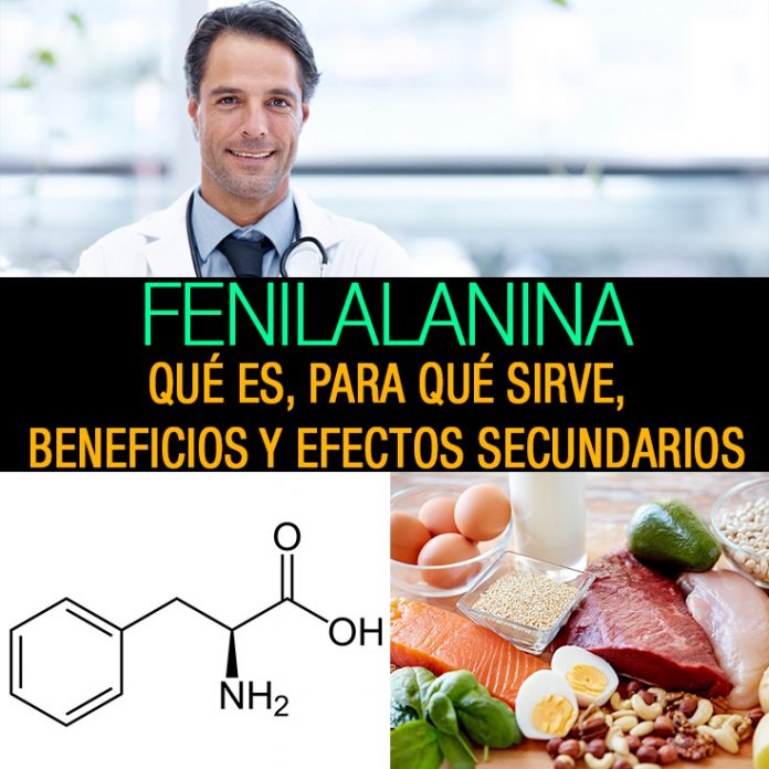 Fenilalaninaquées,paraquésirve,beneficiosyefectossecundarios1