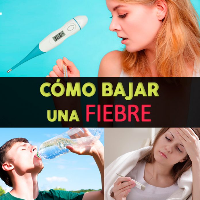 Que Es Una Fiebre Interna – Hemorragia interna: síntomas, causas y ...