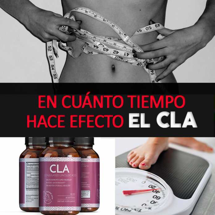 ¿En cuánto tiempo hace efecto el cla? La Guía de las Vitaminas