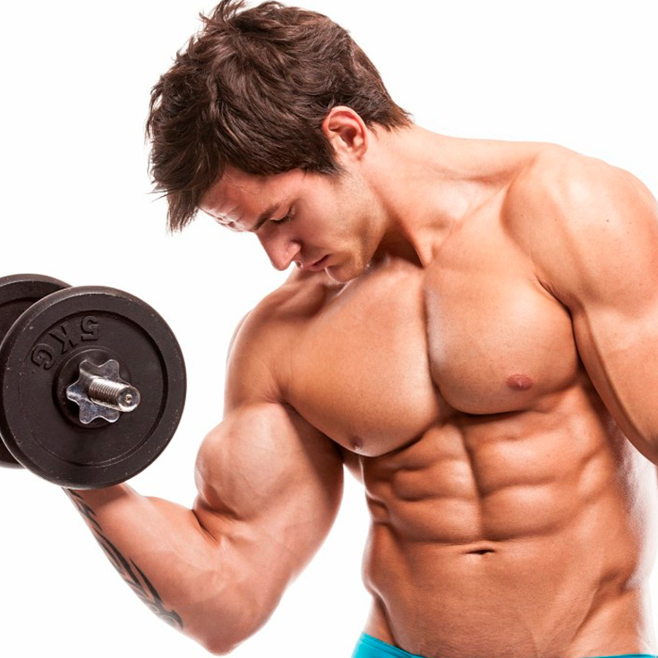 Los 10 mejores ejemplos de anabol en linea