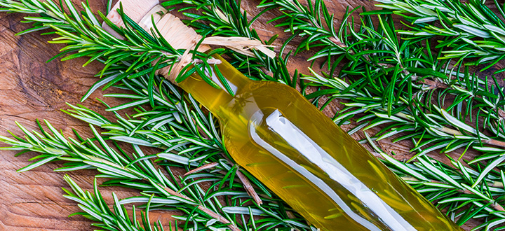 11 increíbles usos y beneficios del aceite de romero, efectos secundarios y peligros