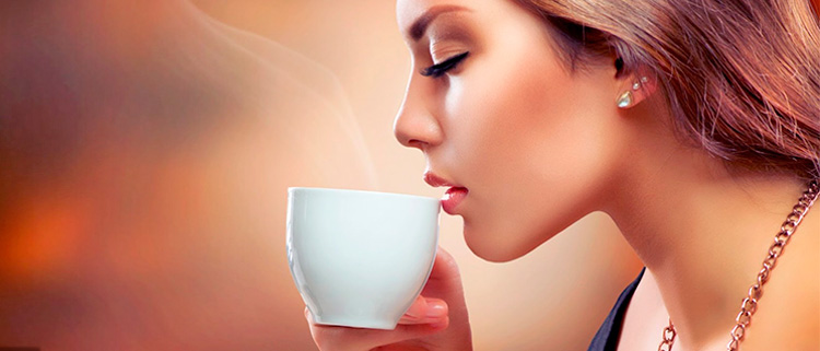 Sabila para adelgazar capsulas de cafe