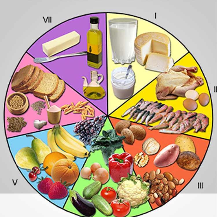 ¿cuál Es La Diferencia Entre Alimentación Y Nutrición La Guía De Las Vitaminasemk 1282