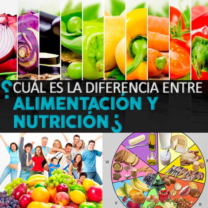 ¿Cuál es la diferencia entre alimentación y nutrición? La Guía de las Vitaminas ¿Cuál es la diferencia entre alimentación y nutrición? La Guía de las Vitaminas