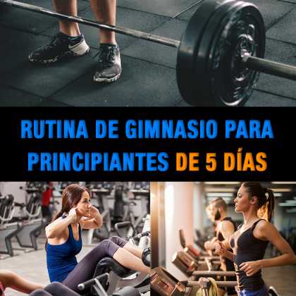 Rutina Completa De Gimnasio Para Principiantes De 5 Días - La Guía De ...