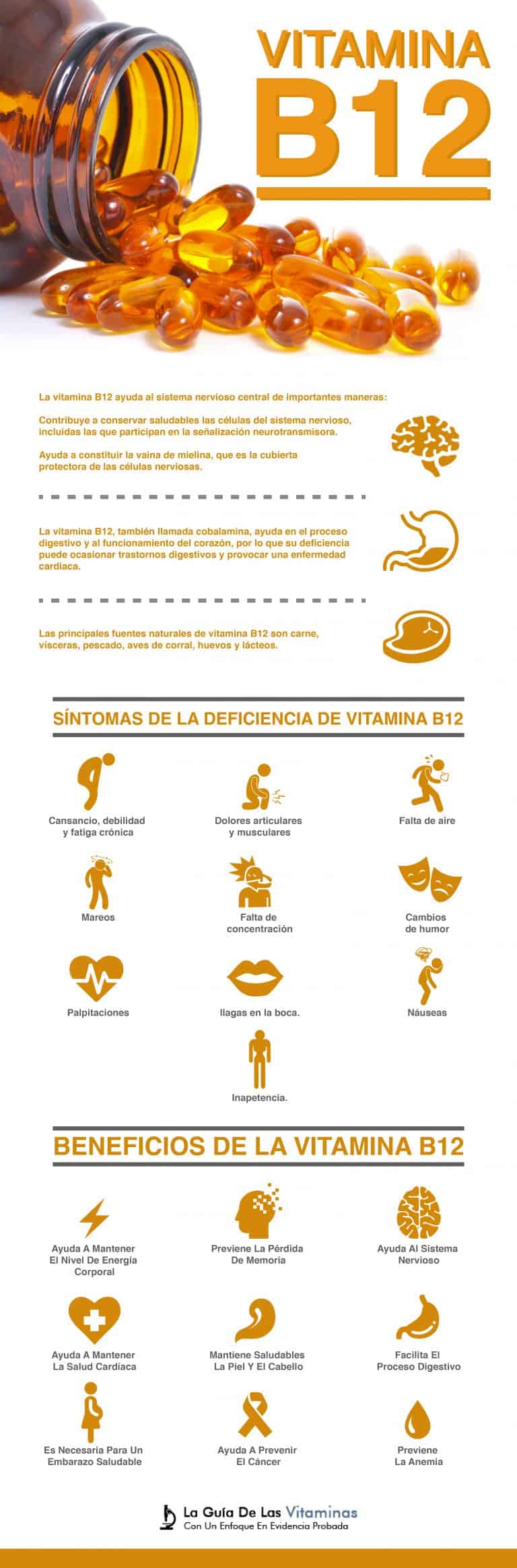 Vitamina B12: Beneficios Y Síntomas De La Deficiencia - La Guía De Las ...