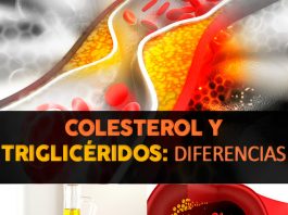 Diferencia entre el colesterol y triglicéridos