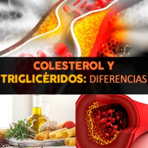 Diferencia entre el colesterol y triglicéridos