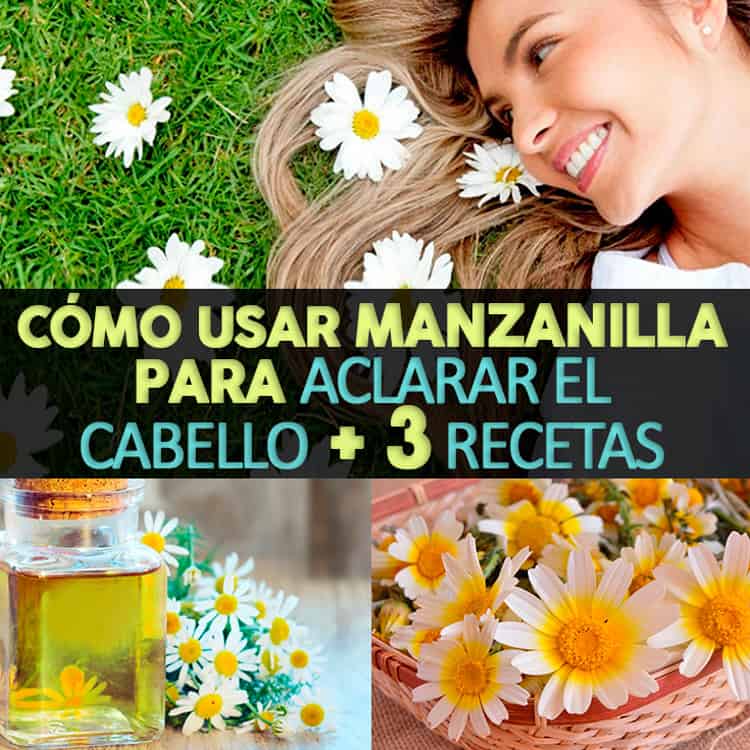 Cómo usar manzanilla para aclarar el cabello + 3 recetas | La Guía de las  Vitaminas