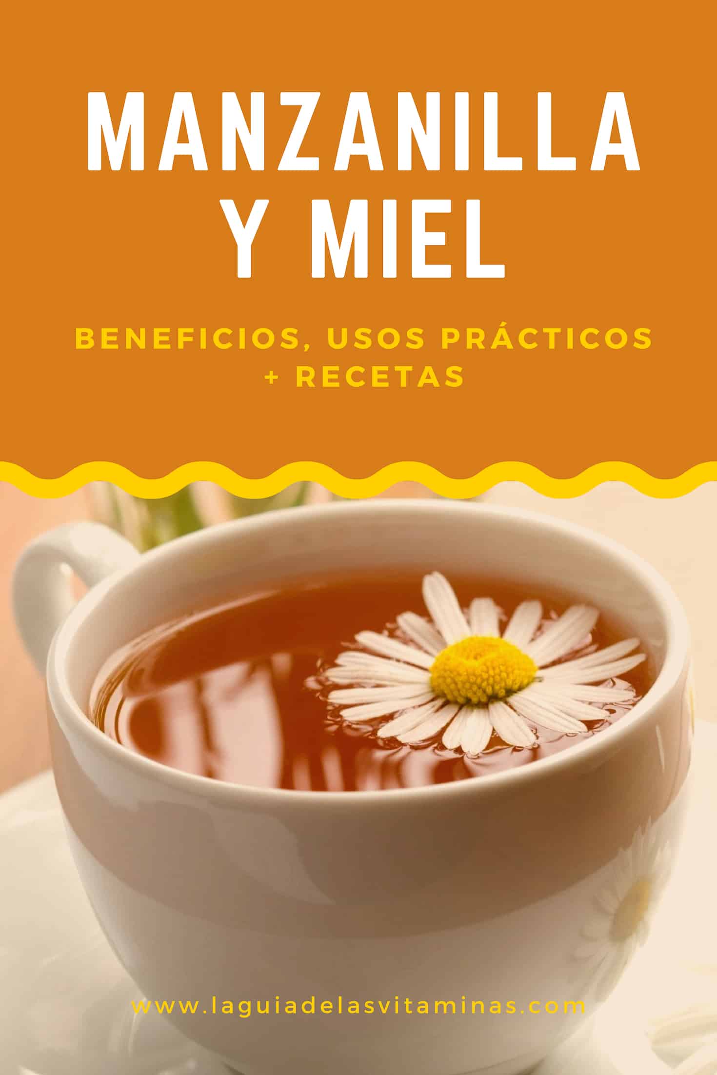 Manzanilla y miel beneficios usos prácticos recetas La Guía de las Vitaminas