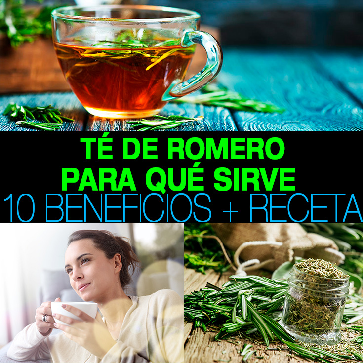 T\u00e9 de romero: para qu\u00e9 sirve, 10 beneficios + receta - La Gu\u00eda de las ...