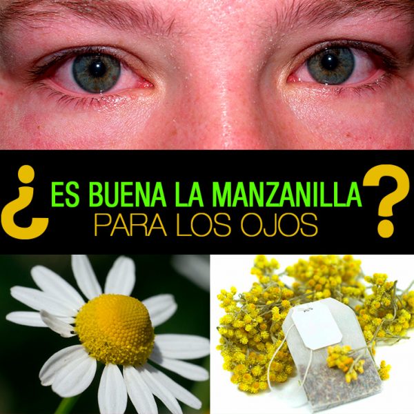 ¿Es buena la manzanilla para los ojos? La Guía de las Vitaminas