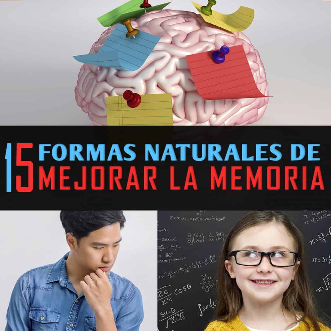 15 Formas Naturales De Mejorar Tu Memoria - La Guía De Las Vitaminas