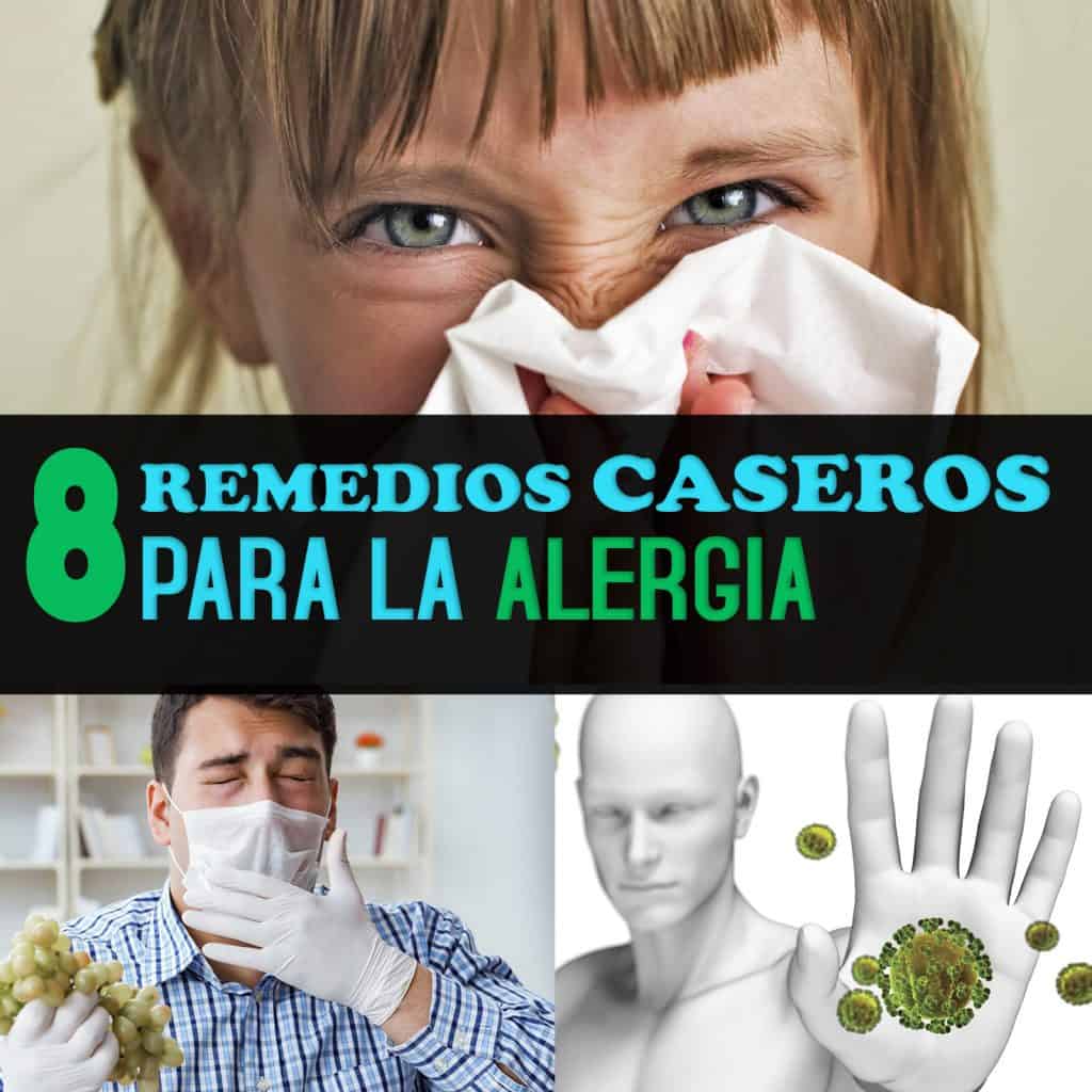 Los 8 Mejores Remedios Caseros Para Tratar La Alergia La Guía De Las Vitaminas 