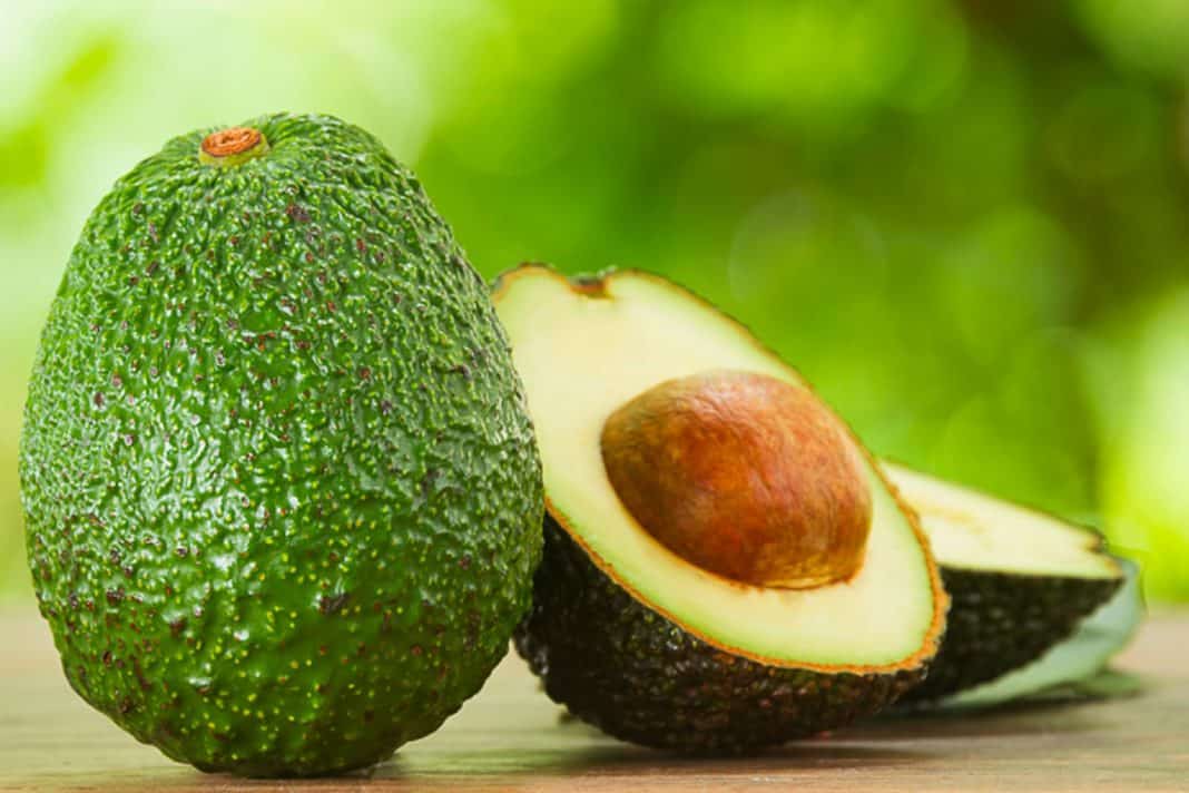 El aguacate, ¿Es fruta o verdura? + 5 cosas que no sabías de Él La