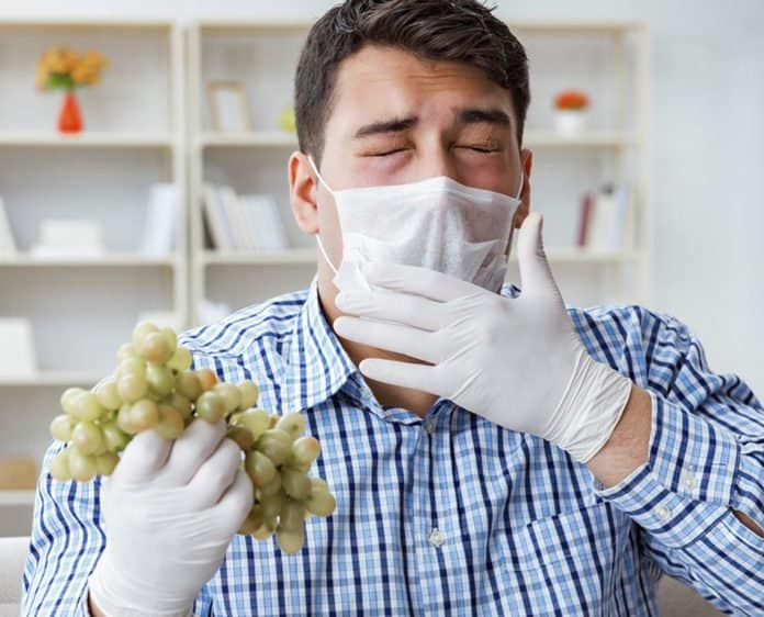 Los 8 Mejores Remedios Caseros Para Tratar La Alergia La Guía De Las