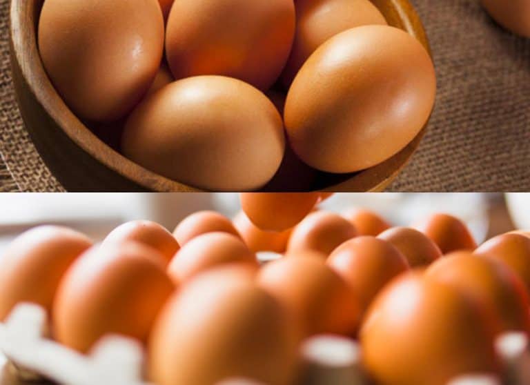 ¿Cómo saber si un huevo está bueno, malo o podrido? – 5 formas de saberlo