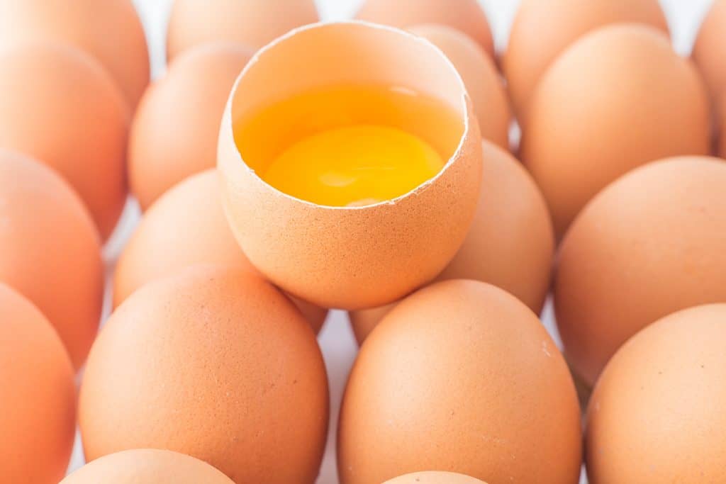 CÓMO SABER SI UN HUEVO ESTÁ BUENO Central Lechera Asturiana