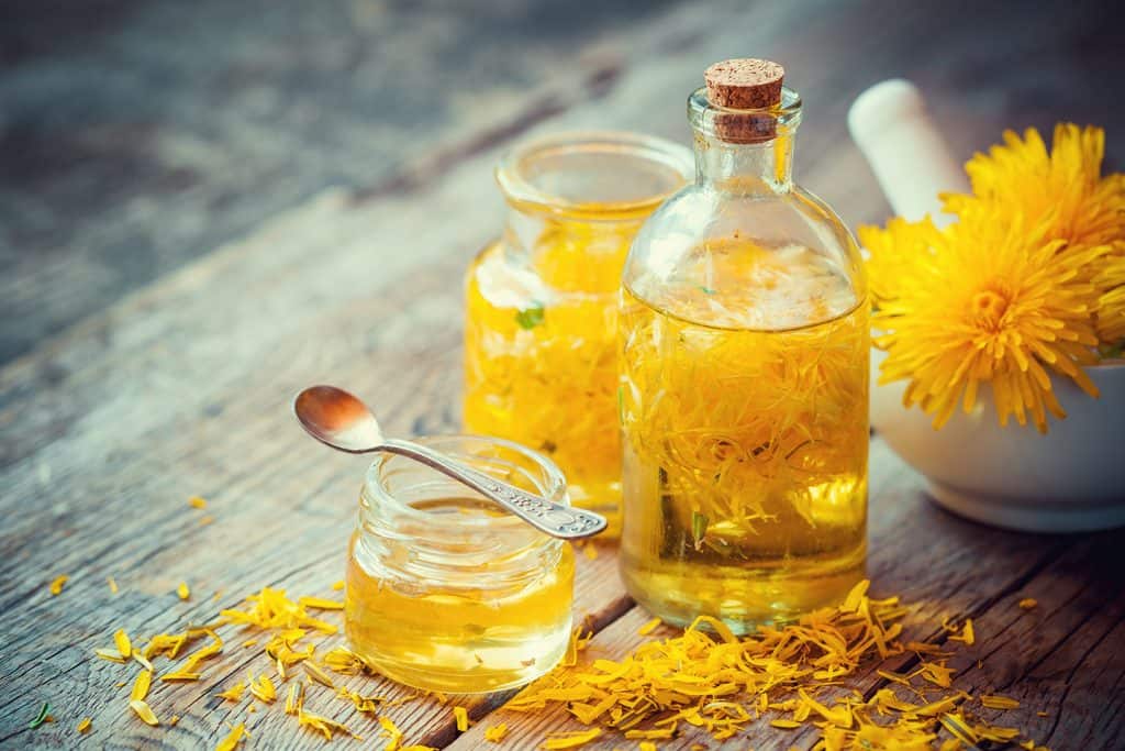 Té de diente de león para