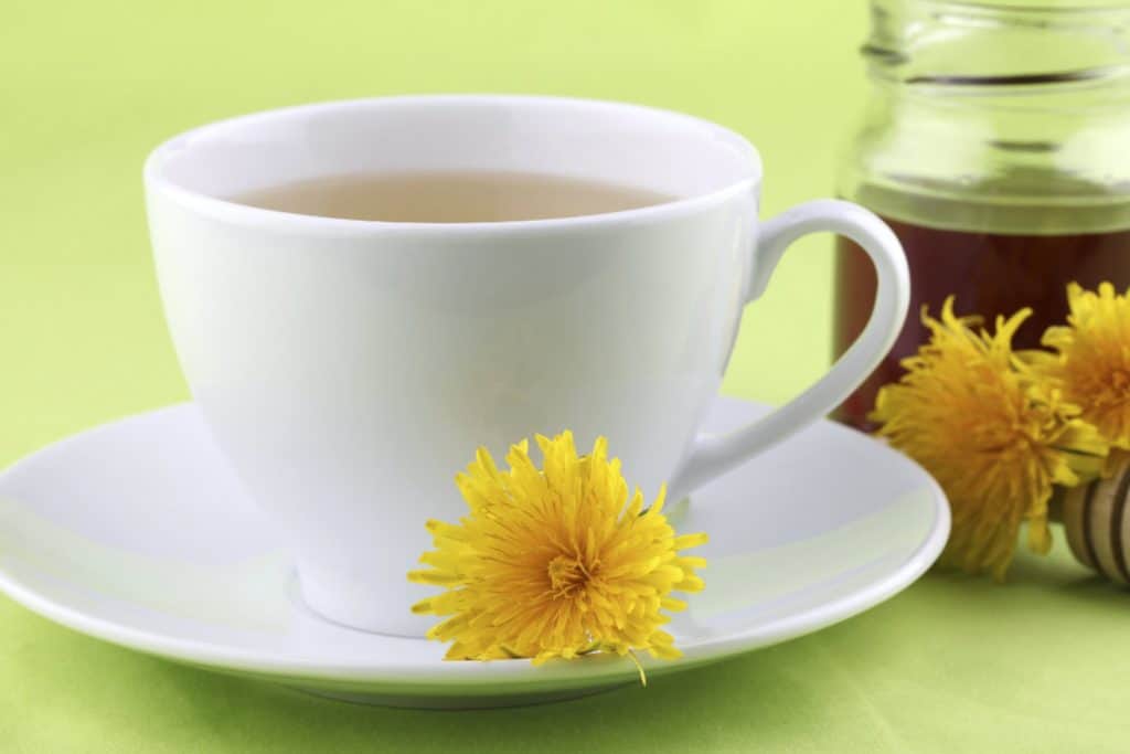 Té de diente de león para