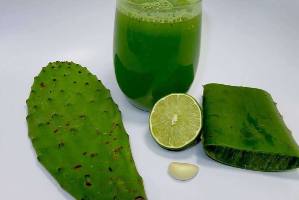 Licuado De Nopal Y Sábila: Para Qué Sirve, Beneficios Y 2 Recetas - La ...