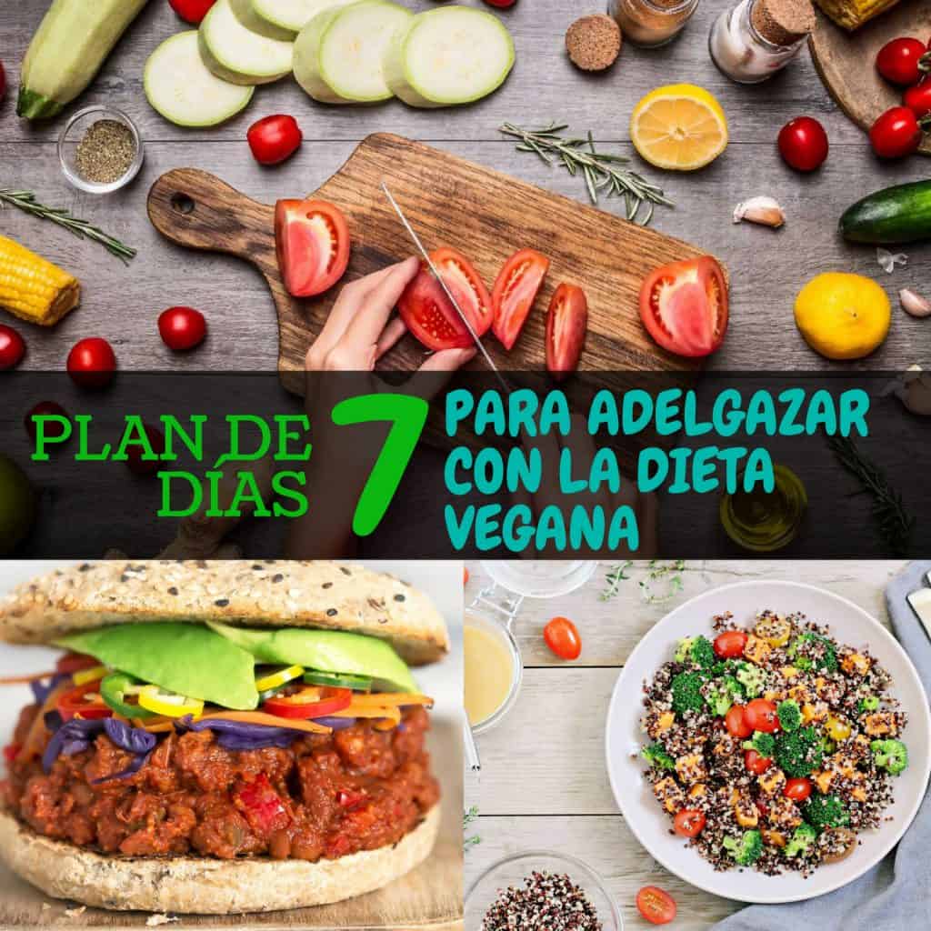 Plan De 7 Días Para Adelgazar Con La Dieta Vegana De 1200 Calorías La Guía De Las Vitaminas 9114