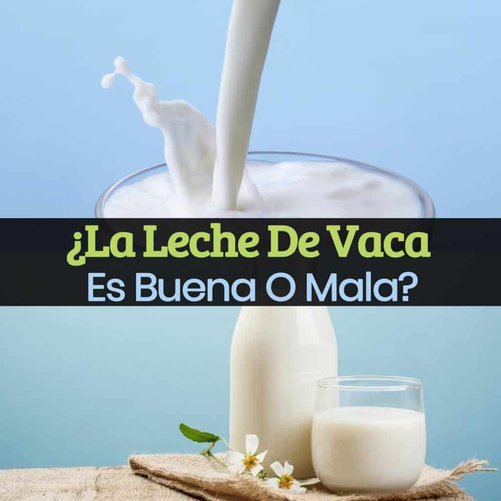 ¿La Leche De Vaca Es Buena O Mala? - La Guía De Las Vitaminas