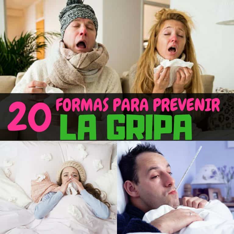 ¿Cómo Prevenir La Gripe Y El Resfriado? - 20 Consejos - La Guía De Las ...