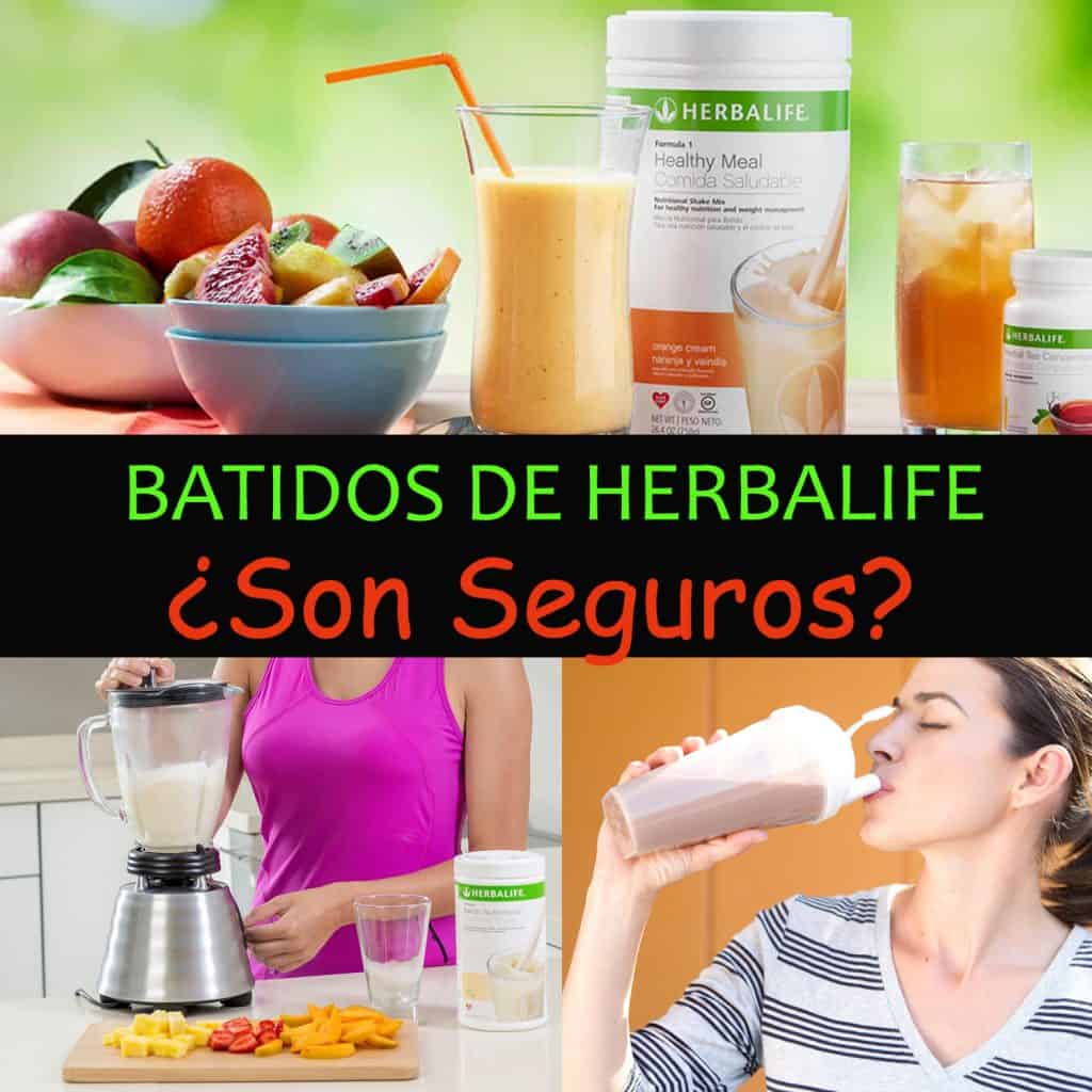 ¿Los Batidos De Herbalife Son Seguros Y Saludables? - La Guía De Las ...