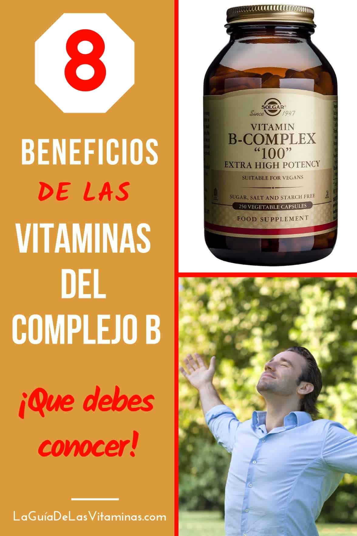 8 Beneficios De Las Vitaminas Del Complejo B 1 La Guía De Las Vitaminas 6508