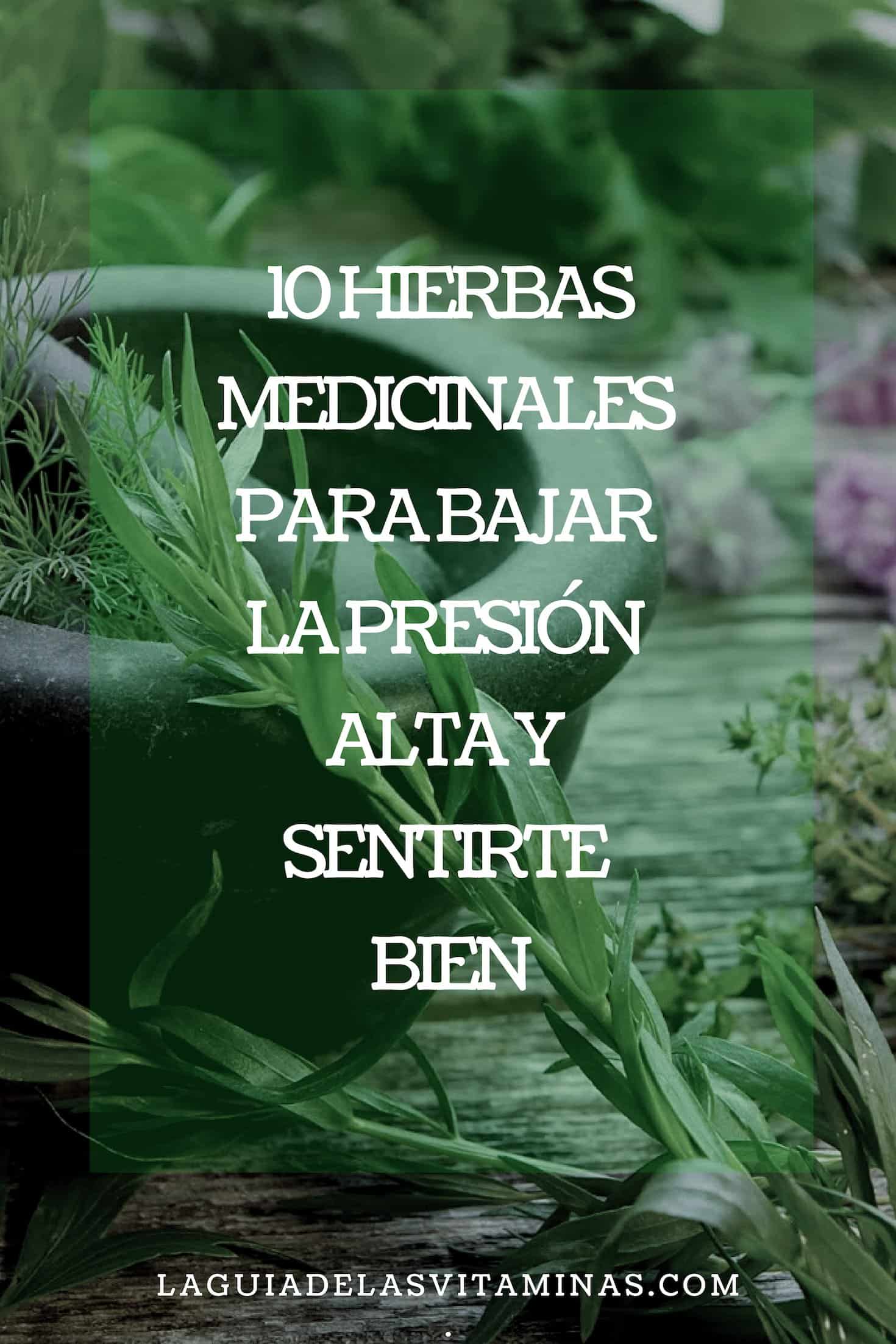 Las top 10 hierbas medicinales para bajar la arterial alta | Guía de las Vitaminas